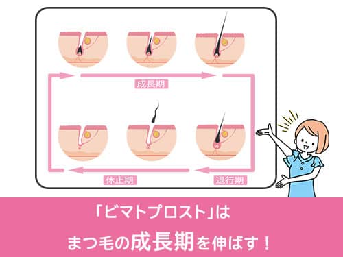 ビマトプロストまつ毛育毛効果01