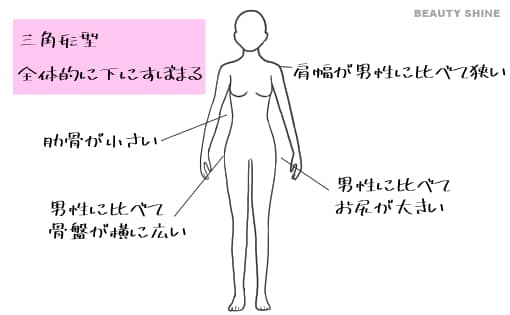 女性の体の構造