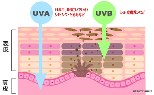 uvaとuvb